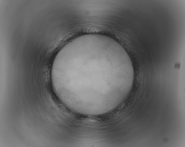 X0000112200743200909041316