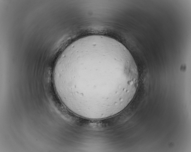 X0000112200744200909041316