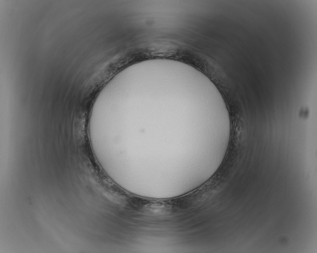 X0000112200745200909041316