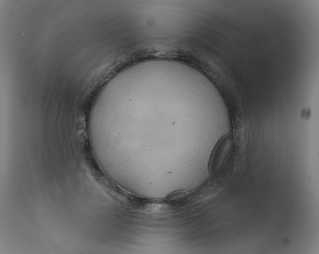 X0000112200748200909041316