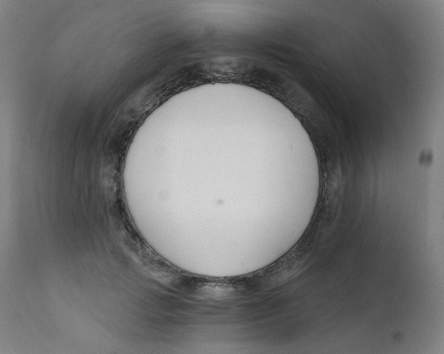 X0000112200749200909041316