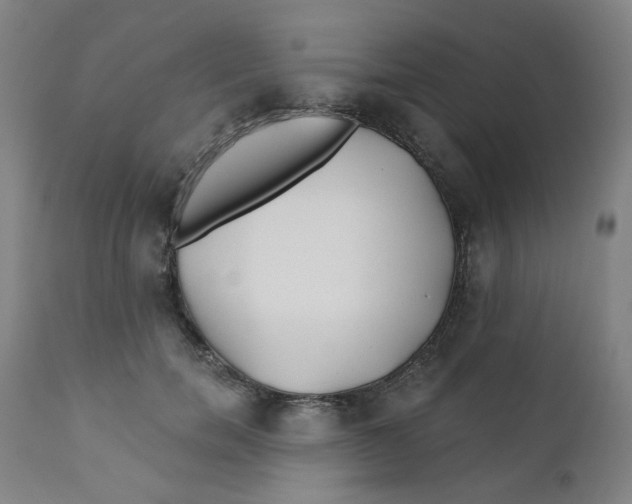 X0000112200750200909041316