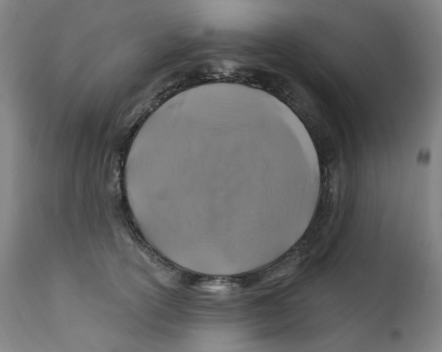 X0000112200754200909041316