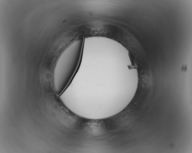 X0000112200756200909041316