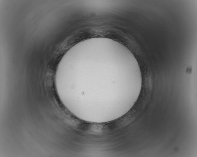 X0000112200757200909041316
