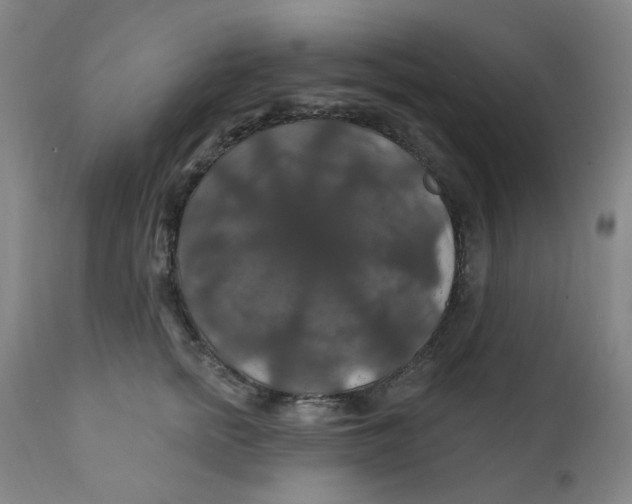 X0000112200758200909041316