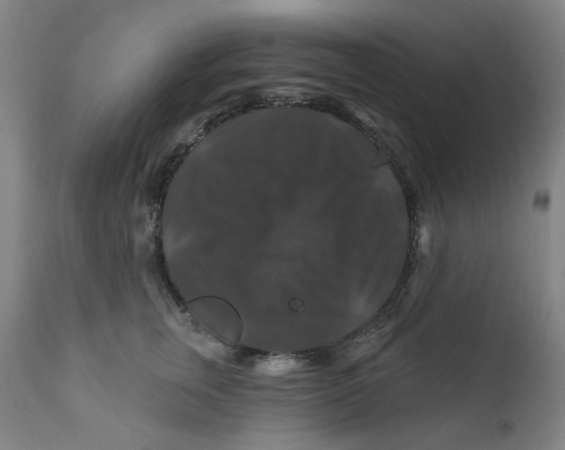 X0000112200759200909041317