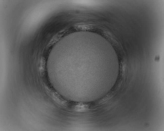 X0000112200760200909041317