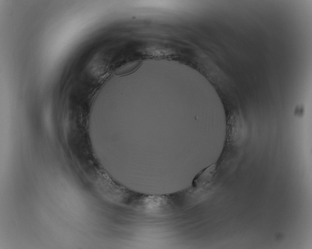 X0000112200762200909041317