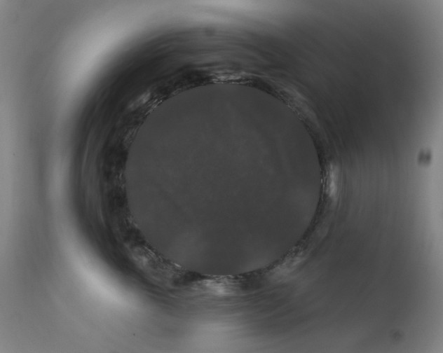X0000112200763200909041317