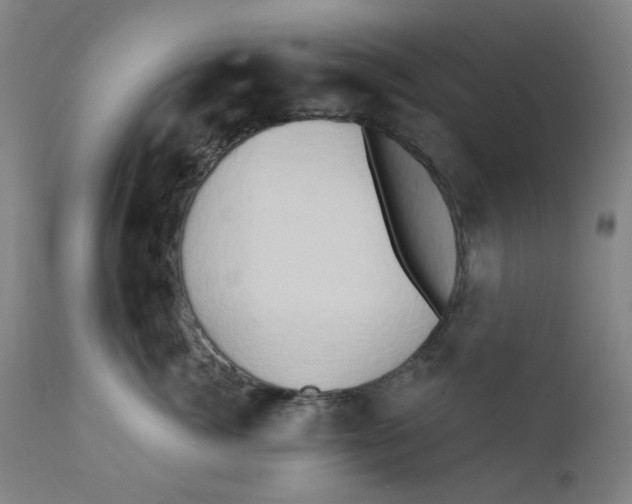 X0000112200764200909041317