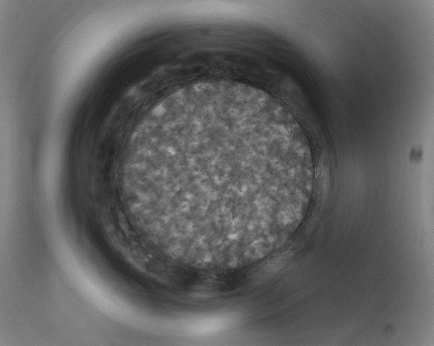 X0000112200765200909041317