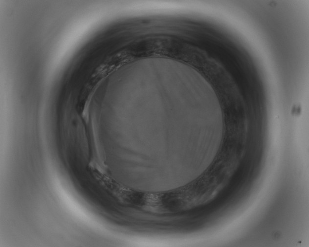 X0000112200766200909041317