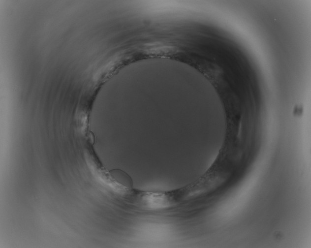 X0000112200767200909041317