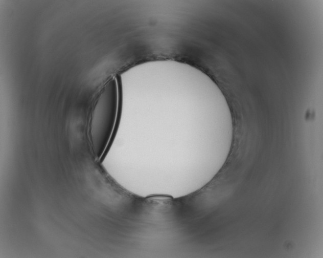X0000112200768200909041317