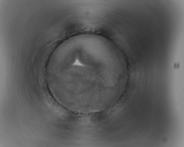 X0000112200769200909041316