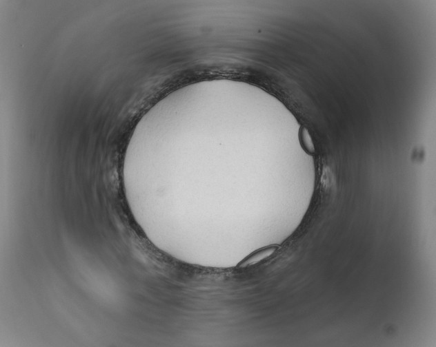 X0000112200771200909041316