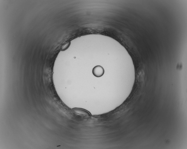 X0000112200772200909041316