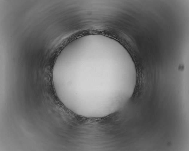 X0000112200773200909041316