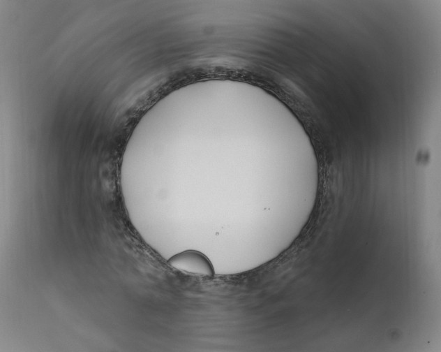 X0000112200774200909041316