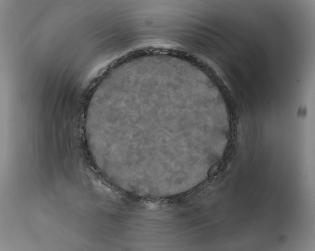 X0000112200775200909041316