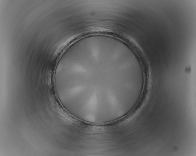 X0000112200777200909041316