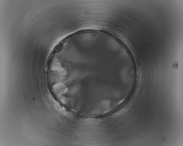 X0000112200779200909041316