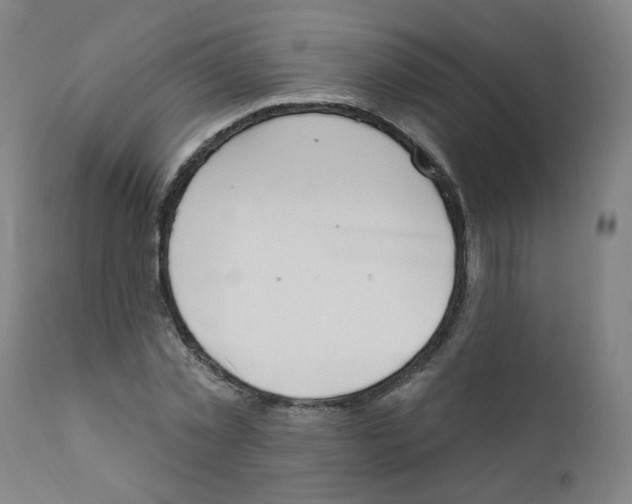 X0000112200781200909041316