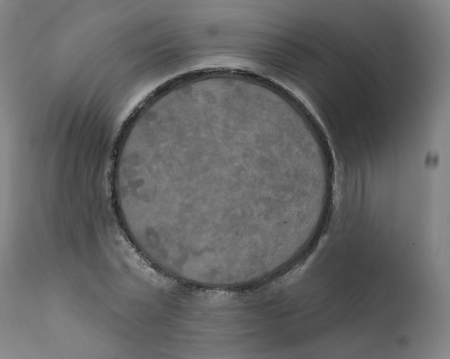 X0000112200783200909041316