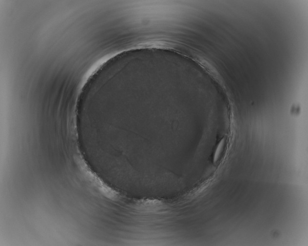 X0000112200784200909041316