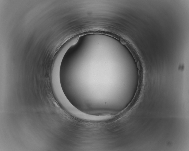 X0000112200785200909041316