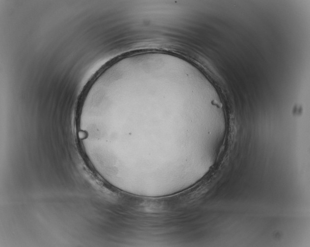 X0000112200788200909041316