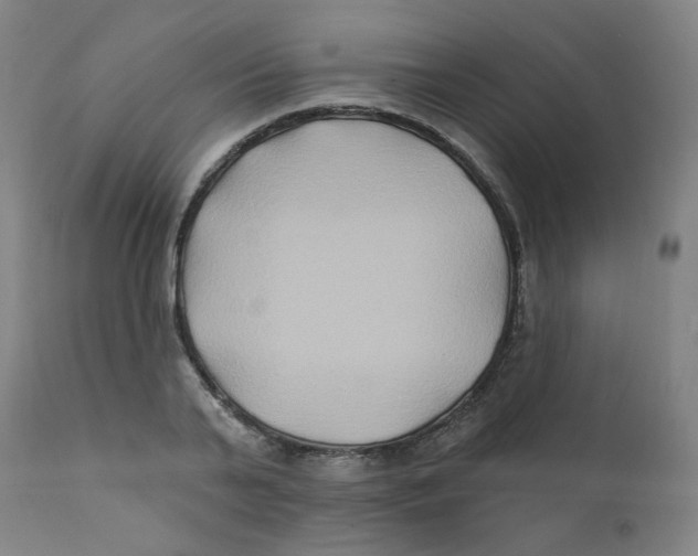 X0000112200791200909041316