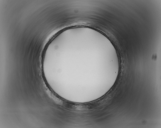 X0000112200792200909041316