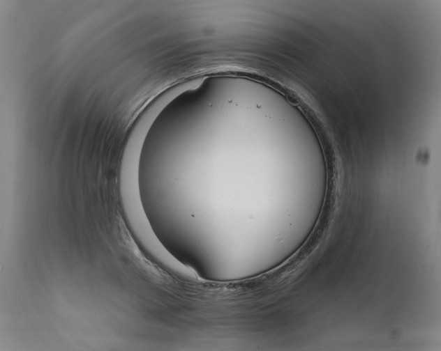 X0000112200793200909041316