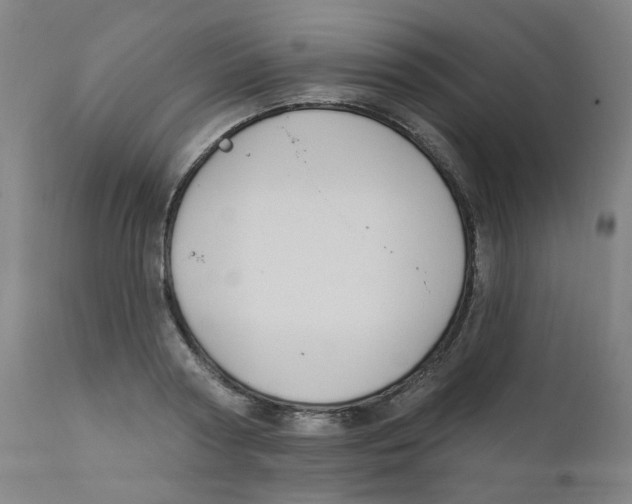 X0000112200794200909041316