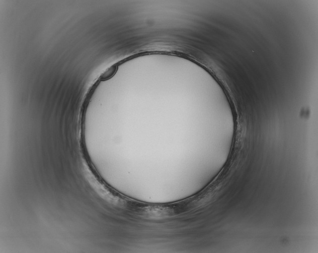 X0000112200795200909041316