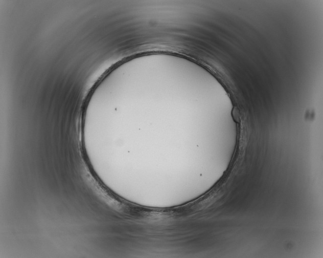 X0000112200796200909041316