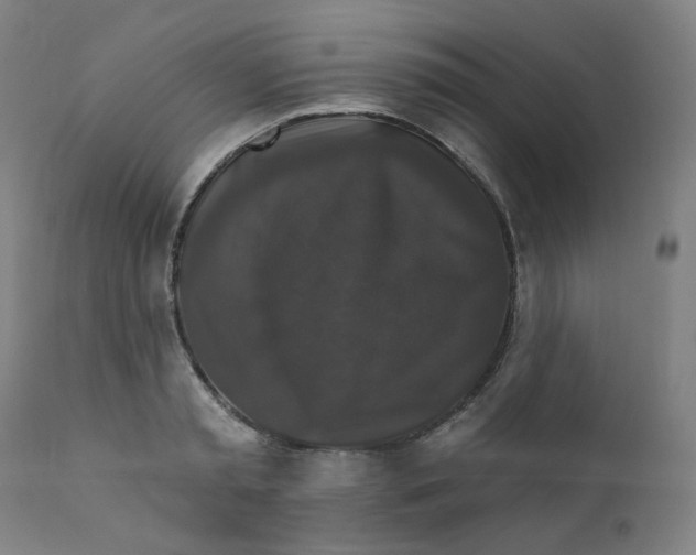 X0000112200797200909041316