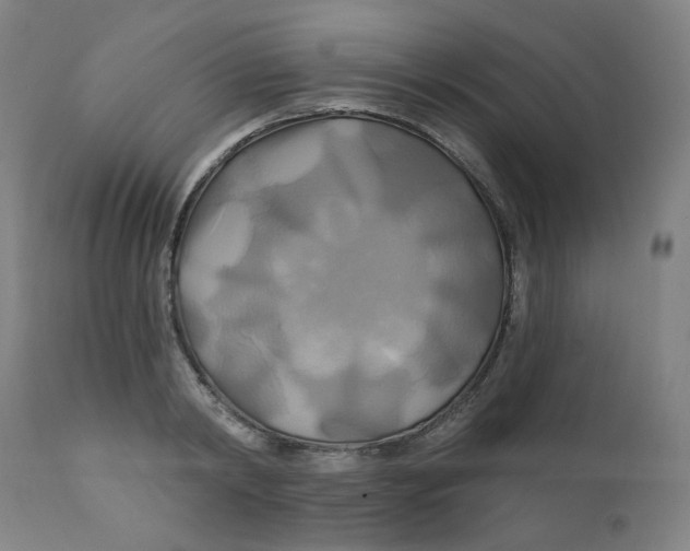 X0000112200798200909041316