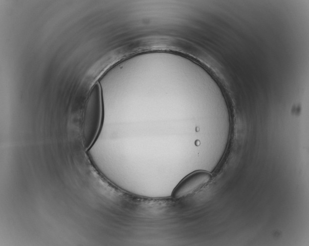 X0000112200801200909041316
