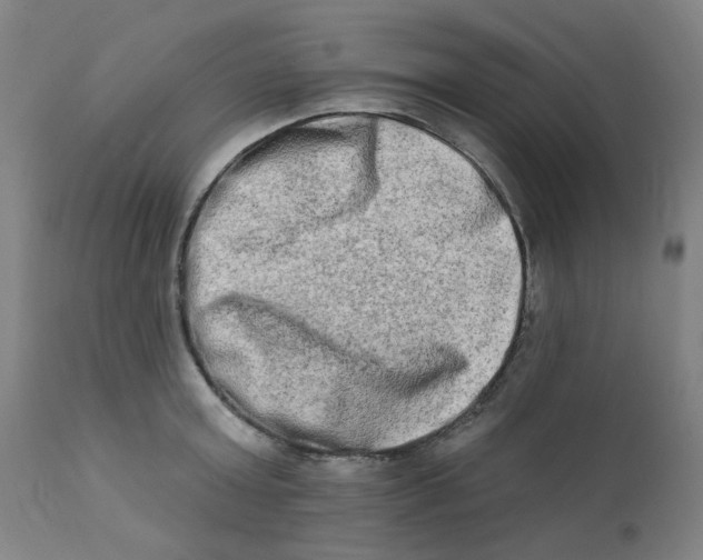 X0000112200803200909041316