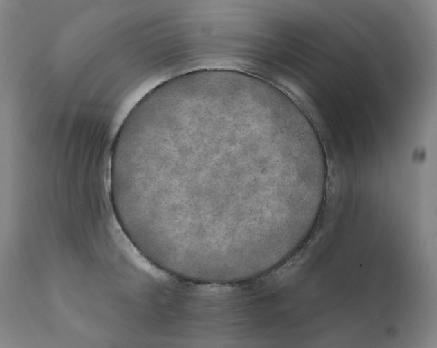 X0000112200804200909041315