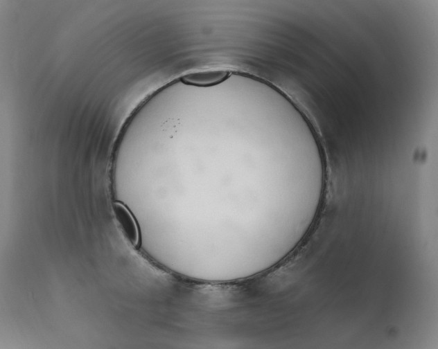 X0000112200805200909041315