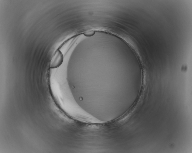 X0000112200806200909041315
