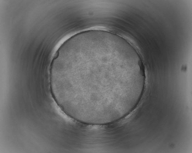 X0000112200808200909041315