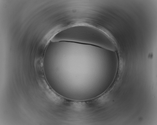 X0000112200809200909041315