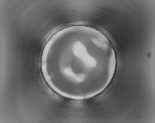 X0000112200810200909041315