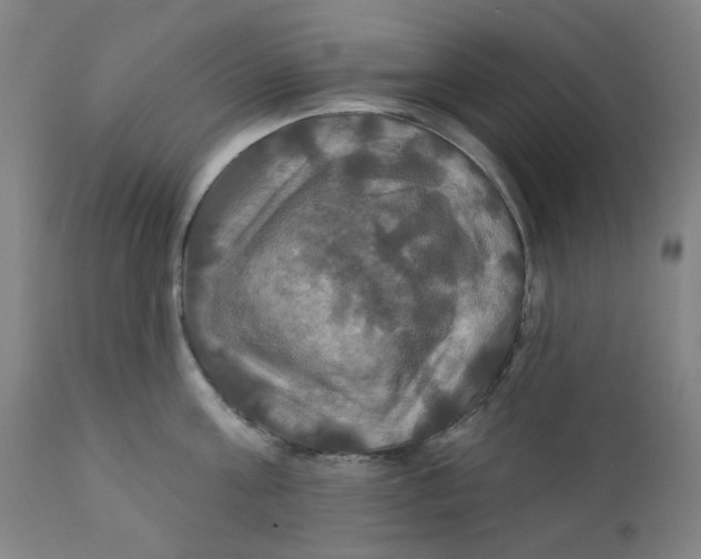 X0000112200811200909041315