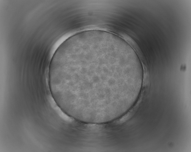 X0000112200812200909041315